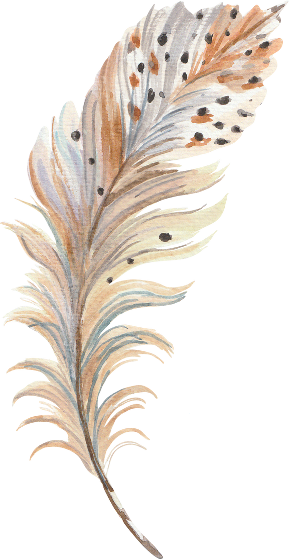 Watercolour Feather